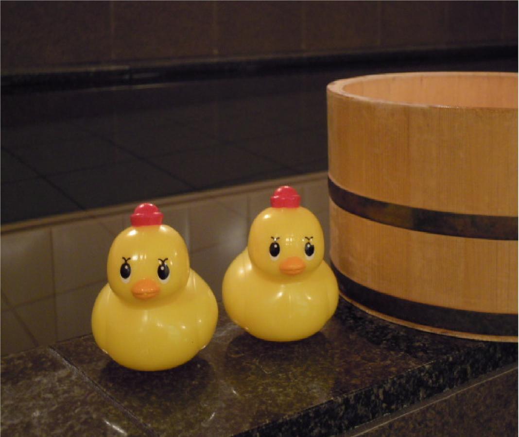 Niigata Park Hotel Eksteriør bilde
