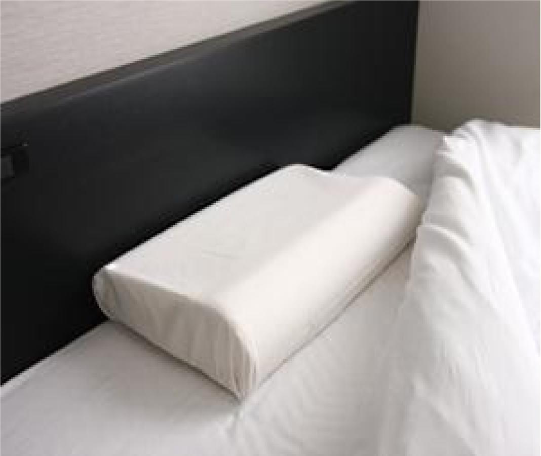 Niigata Park Hotel Eksteriør bilde